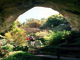 Engelbrecht Cave - Gold Coast Attractions 0
