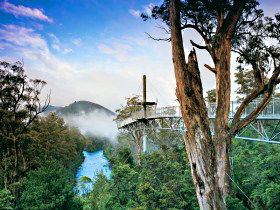  Gold Coast Attractions