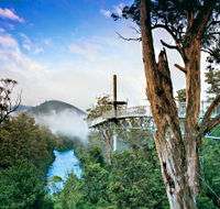 Tahune Adventures Tasmania - Gold Coast Attractions