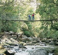 Arve Forest Drive - Gold Coast Attractions