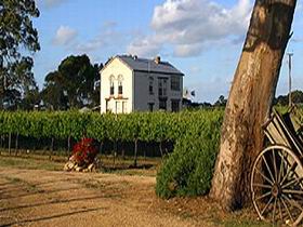 Highbank Vineyards - Gold Coast Attractions 0