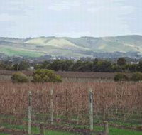 Mclaren Vale Premium Wines - Gold Coast Attractions