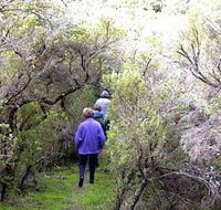 Jack And Hilda McArthur Walk - Gold Coast Attractions