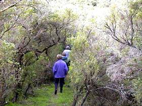 Jack And Hilda McArthur Walk - Gold Coast Attractions 0
