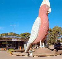 The Big Galah - Gold Coast Attractions