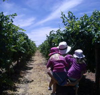 McLaren Vale Orchards - Gold Coast Attractions