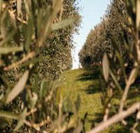 Evilo Estate - Gold Coast Attractions