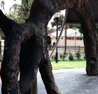 Old Gum Tree - Gold Coast Attractions