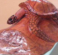 Ants Redgum Gallery - Gold Coast Attractions