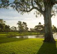 Serafino Wines - Gold Coast Attractions