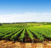 Aldinga Bay Winery - Gold Coast Attractions