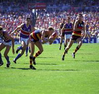 AAMI Stadium Tours - Gold Coast Attractions