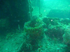 Wallaroo Scuba Club - Gold Coast Attractions 0