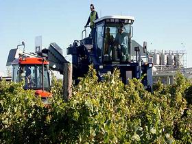 Ballast Stone Estate Wines Pty Ltd - Gold Coast Attractions 0