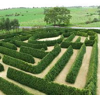 Mintaro Maze and Gift Shop - Gold Coast Attractions