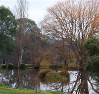 Gemtree Wetlands Ecotrail - Gold Coast Attractions