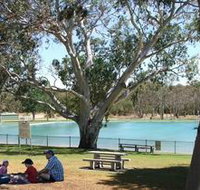 Naracoorte Nature Park and Swimming Lake - Gold Coast Attractions