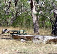 Penola Conservation Park - Gold Coast Attractions