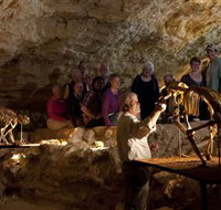 Naracoorte Caves National Park - Gold Coast Attractions