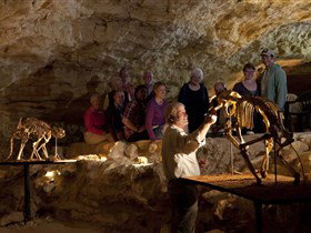 Naracoorte Caves National Park - Gold Coast Attractions 0
