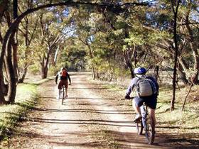 Bike About Mountain Bike Tours And Hire - Gold Coast Attractions 0