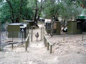 Humbug Scrub Wildlife Sanctuary - Gold Coast Attractions 0