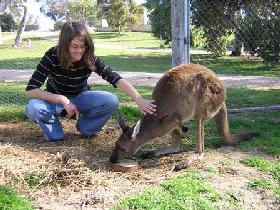 Gold Coast Attractions