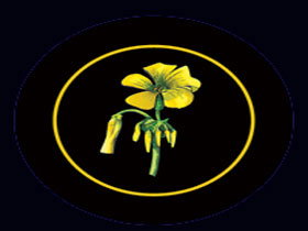 Battle Of Bosworth Wines - Gold Coast Attractions 0