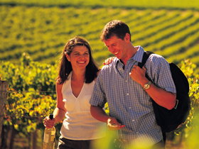 Lady Bay Vineyard - Gold Coast Attractions 0
