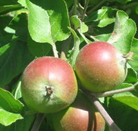 Sage Cooking School - Gold Coast Attractions