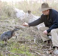 Sinclair's Gully - Gold Coast Attractions