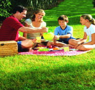 Bruny Island Berry Farm - Gold Coast Attractions
