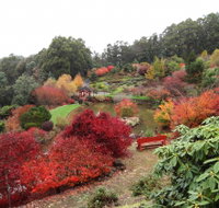 Emu Valley Rhododendron Garden - Gold Coast Attractions