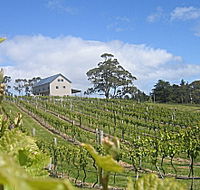 Bruny Island Premium Wines Bar and Grill - Gold Coast Attractions