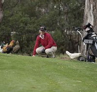 Tasmania Golf Club - The - Gold Coast Attractions