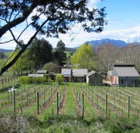 Wilmot Hills Vineyard - Gold Coast Attractions