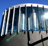 Moo Brew - Gold Coast Attractions