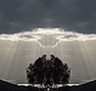 aart. Gallery of Fine Art - Gold Coast Attractions
