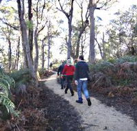 Bridport Walking Track - Gold Coast Attractions