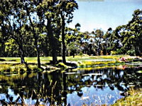 Book Smithton Accommodation Vacations Gold Coast Attractions Gold Coast Attractions