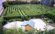 Westbury Maze And Tea Room - thumb 0