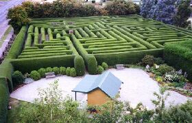 Westbury Maze And Tea Room - Gold Coast Attractions 0