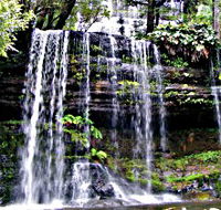 Mt Field National Park - Gold Coast Attractions
