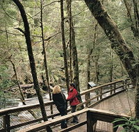 Franklin River Nature Trail - Gold Coast Attractions