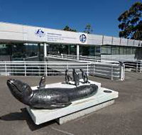 Australia's Antarctic Headquarters - Gold Coast Attractions