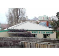 Richmond Maze and Tea Rooms - Gold Coast Attractions