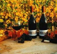 Craigow Vineyard - Gold Coast Attractions