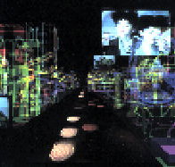 Academy Gallery - Gold Coast Attractions