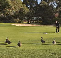 Royal Hobart Golf Club - Gold Coast Attractions