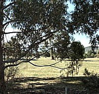 Cygnet Public Golf Course - Gold Coast Attractions